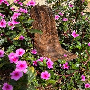 Ariat brown leather cutout boots